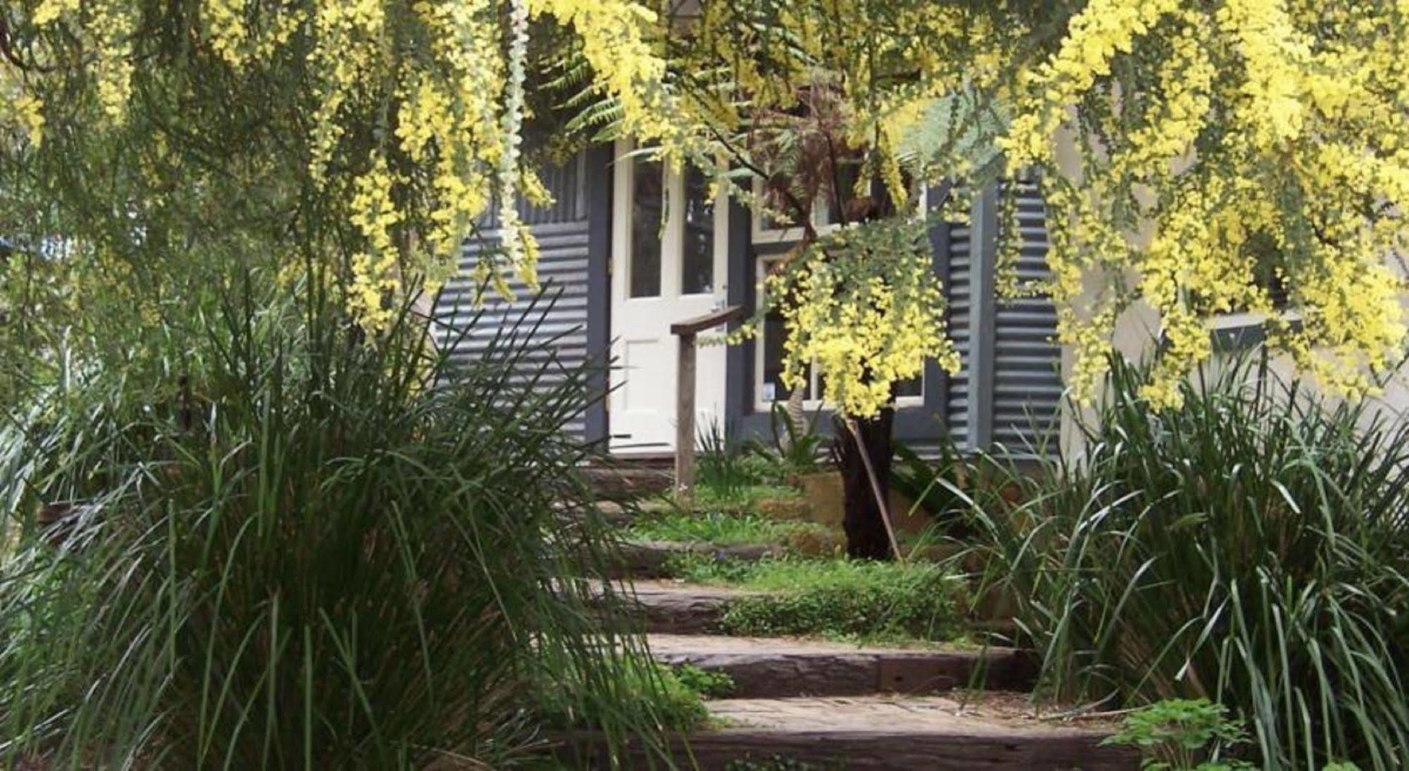 Old Leura Dairy Hotel Bagian luar foto